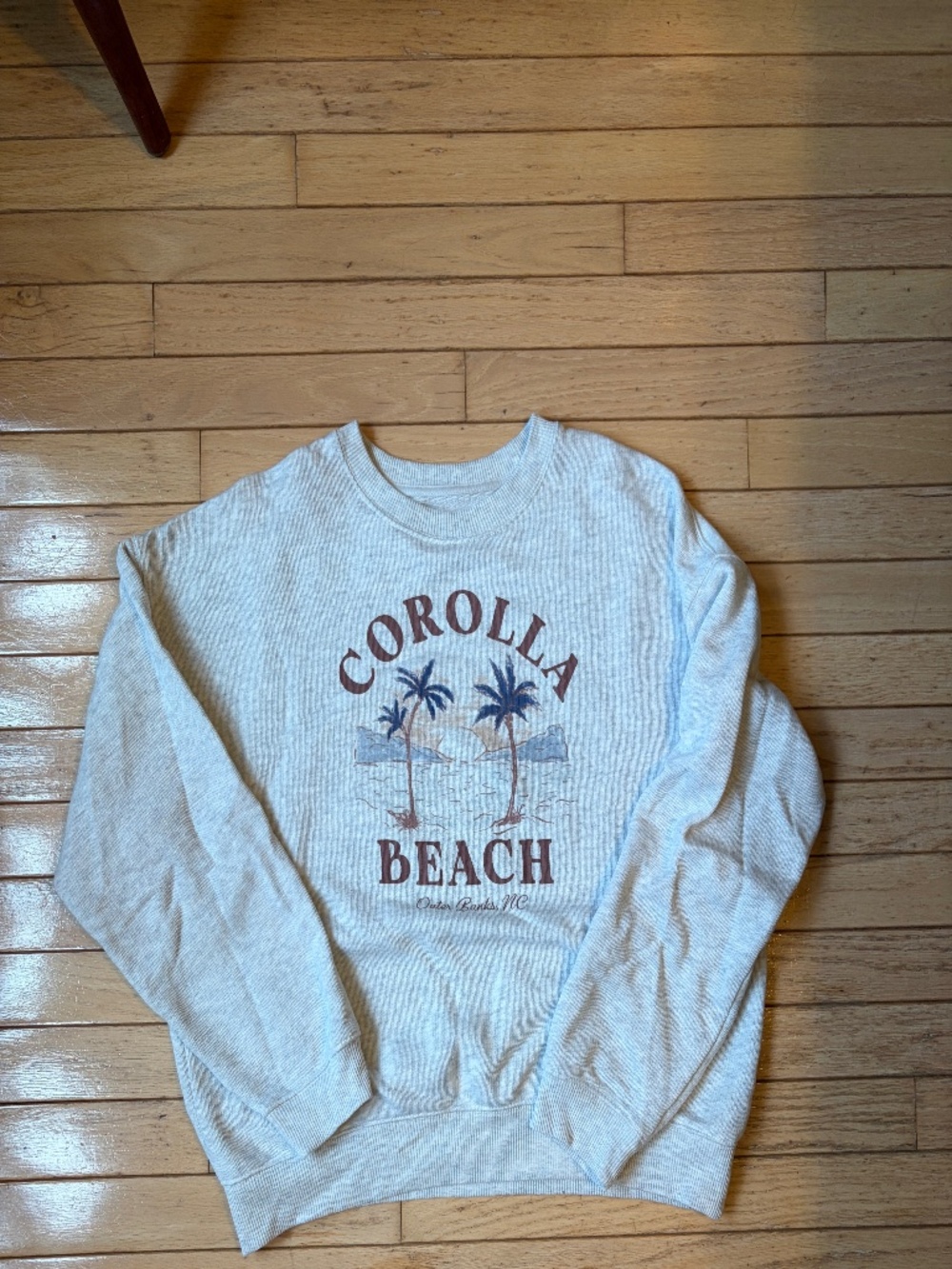American Eagle Graphic Sweatshirt